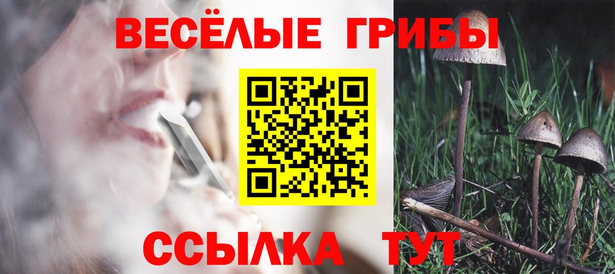 Псилоцибиновые грибы ЛСД  Вход с VPN  купить   Узловая 