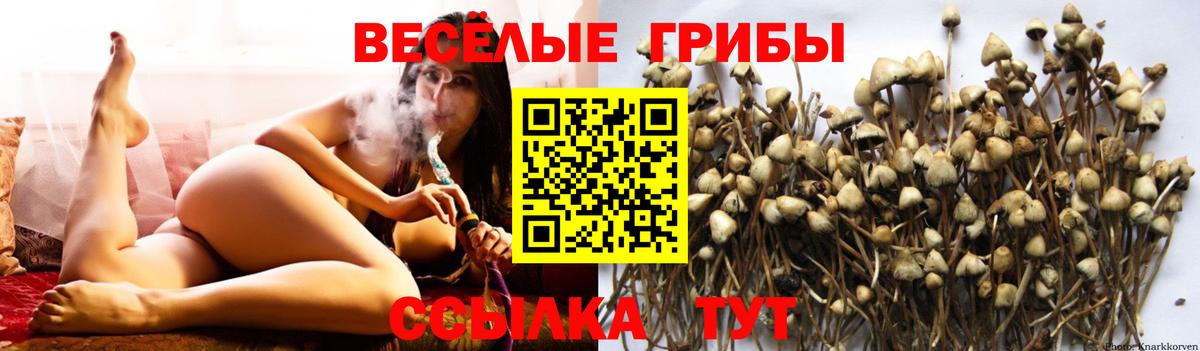 Псилоцибиновые грибы ЛСД Узловая